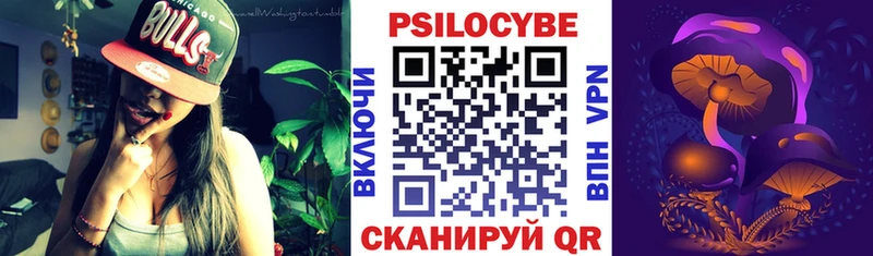 Купить  Зеленодольск  Псилоцибиновые грибы Psilocybe 