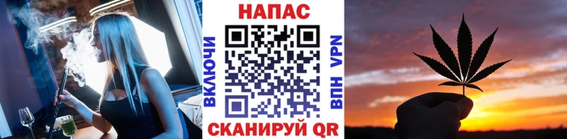Бошки Шишки планчик  Купить закладки  Зеленодольск 